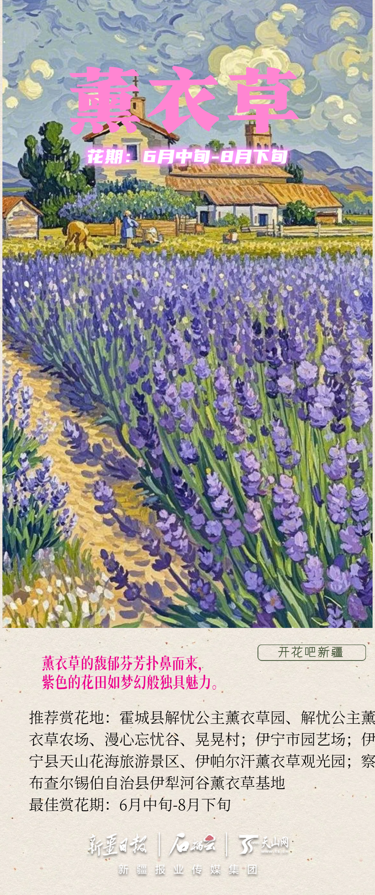 开花吧新疆!"梵高"版花期预报来了