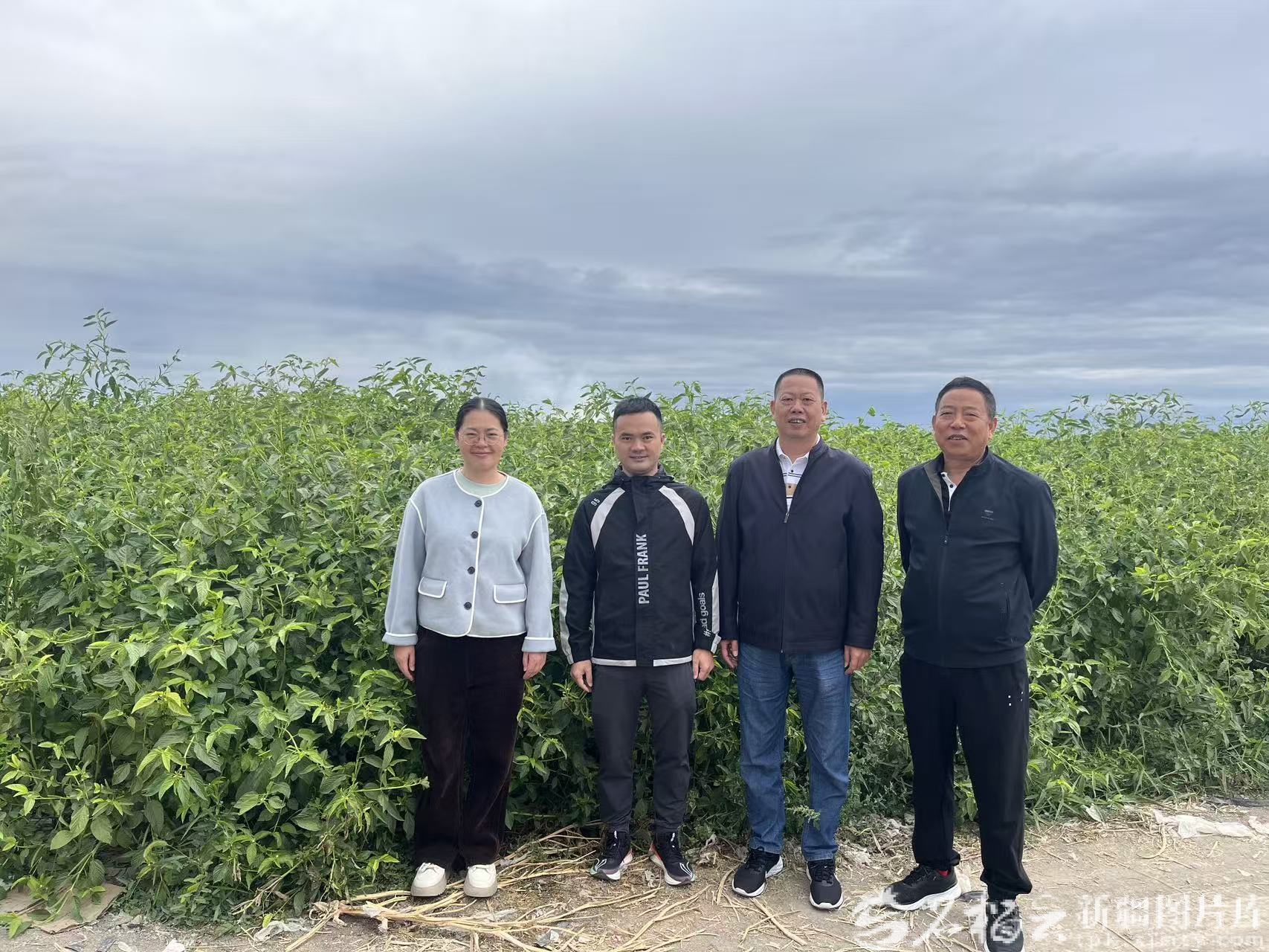 mmexport1772439068527